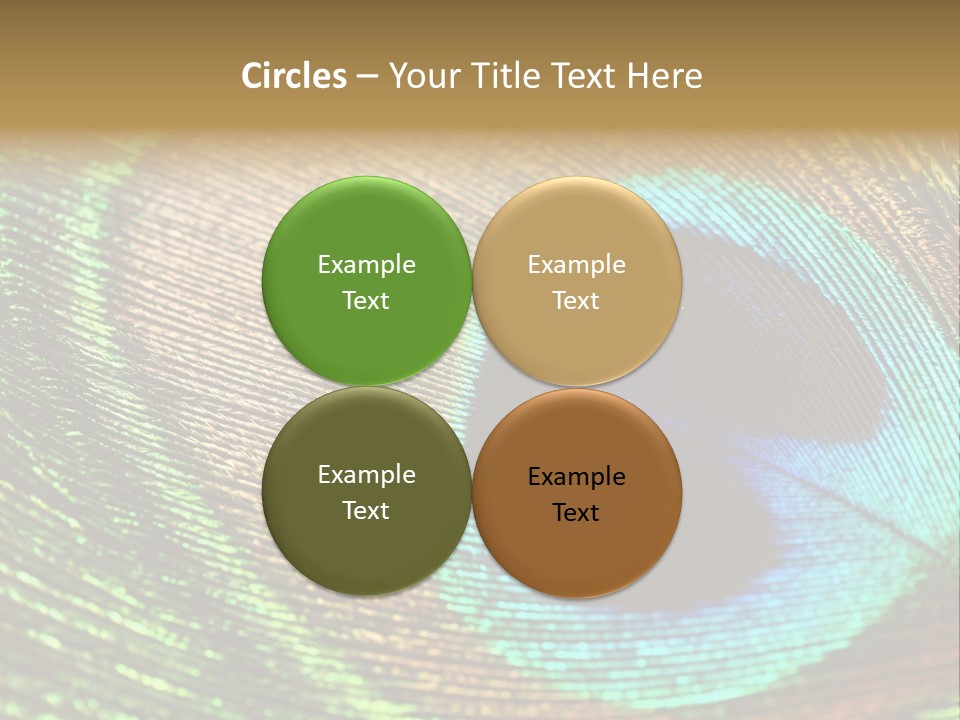 Stylish Extravagant Elegance PowerPoint Template