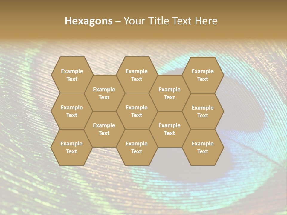 Stylish Extravagant Elegance PowerPoint Template