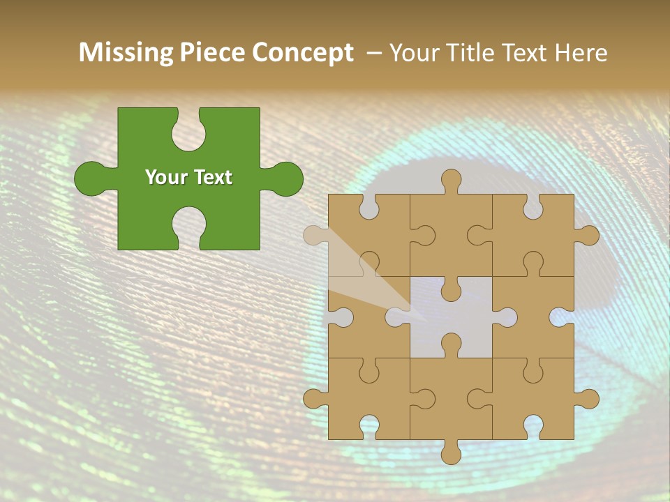 Stylish Extravagant Elegance PowerPoint Template