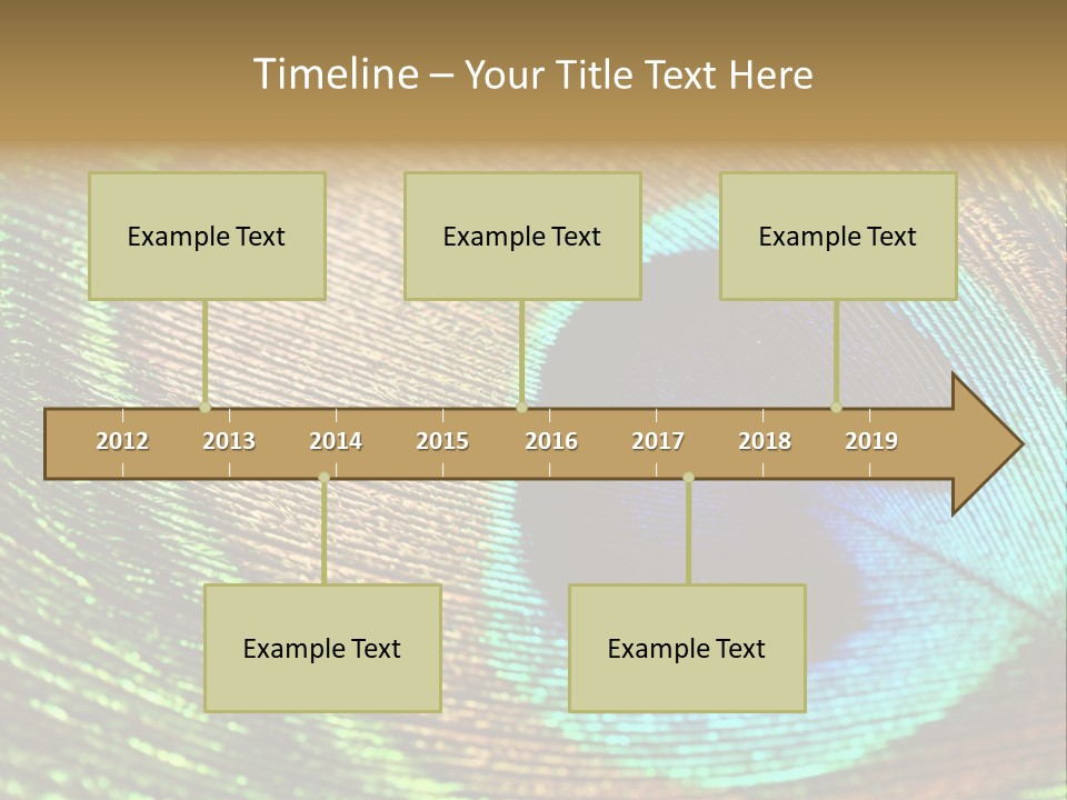 Stylish Extravagant Elegance PowerPoint Template