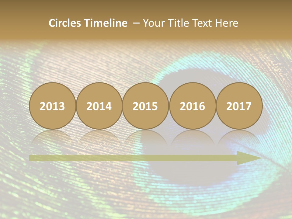 Stylish Extravagant Elegance PowerPoint Template