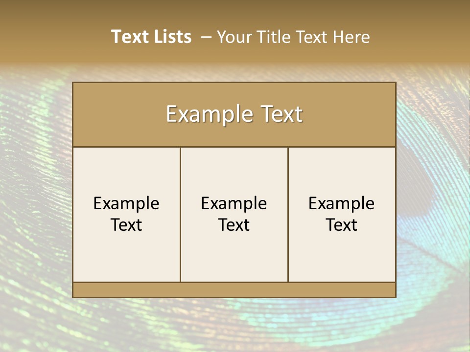 Stylish Extravagant Elegance PowerPoint Template