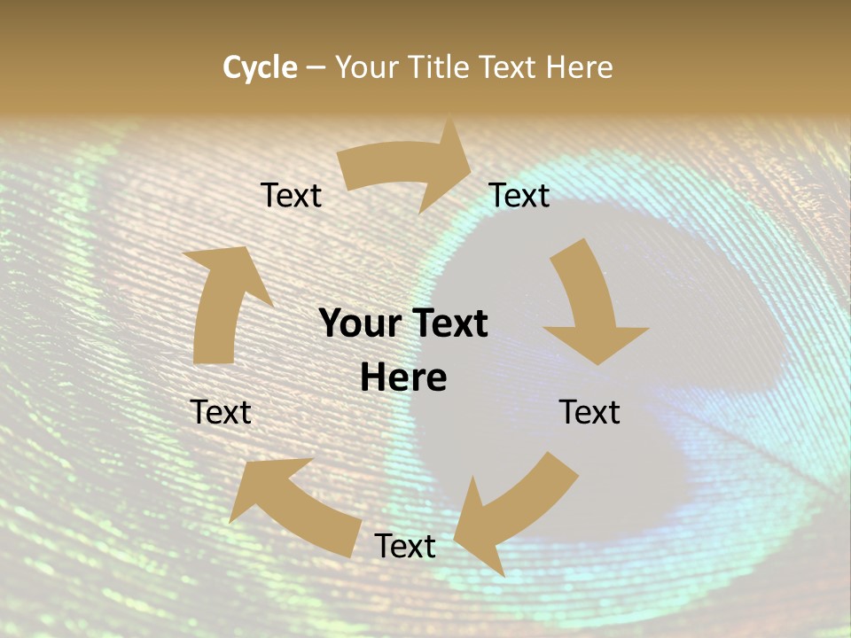 Stylish Extravagant Elegance PowerPoint Template