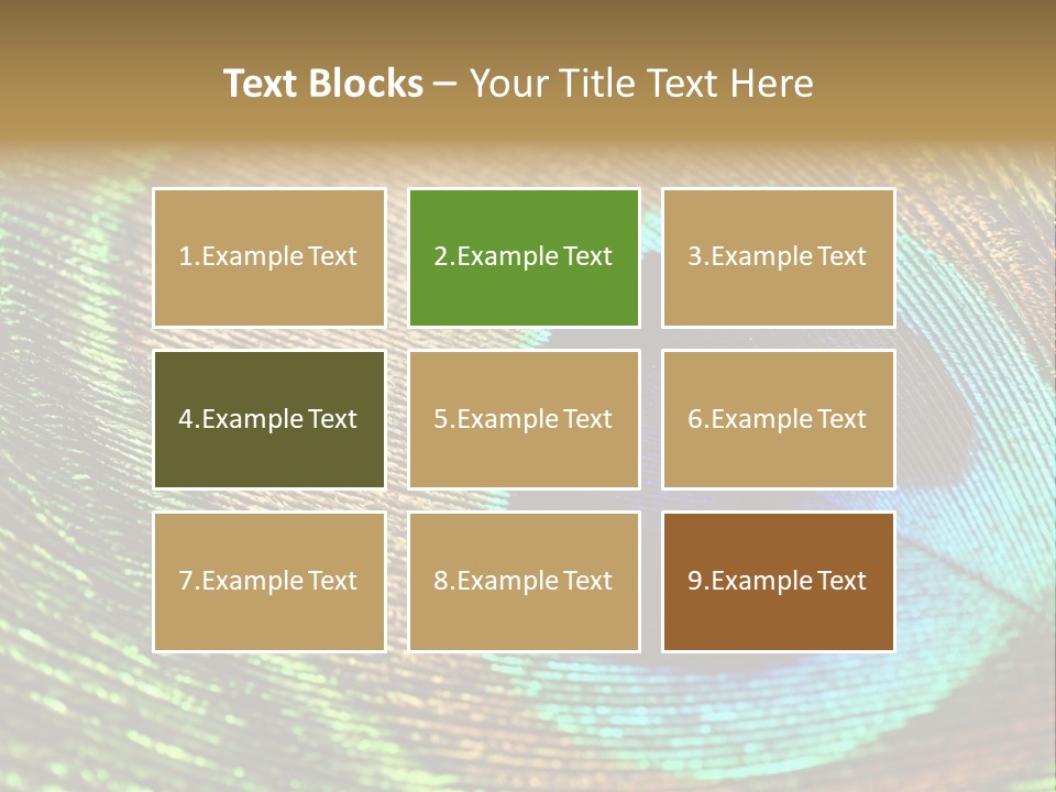 Stylish Extravagant Elegance PowerPoint Template