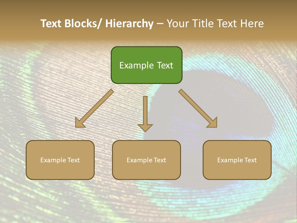 Stylish Extravagant Elegance PowerPoint Template