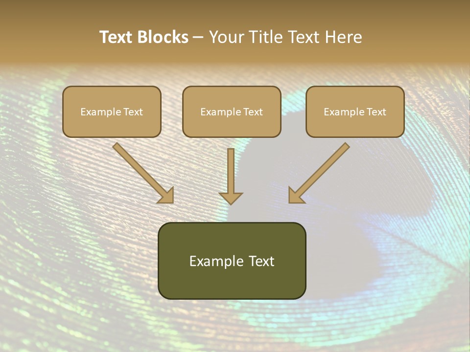Stylish Extravagant Elegance PowerPoint Template