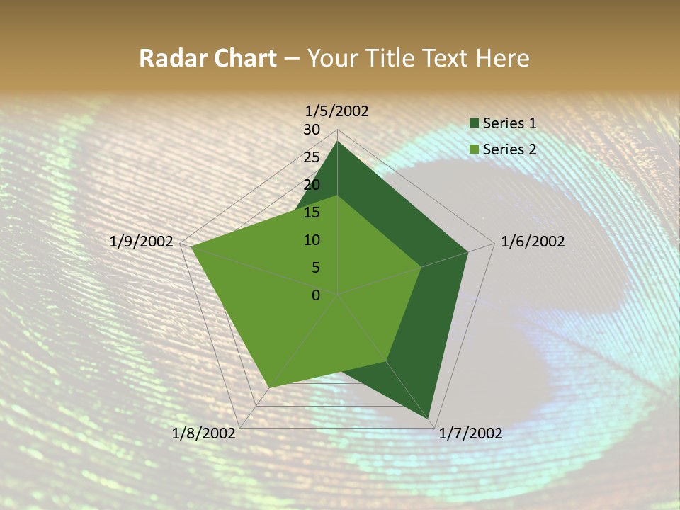 Stylish Extravagant Elegance PowerPoint Template