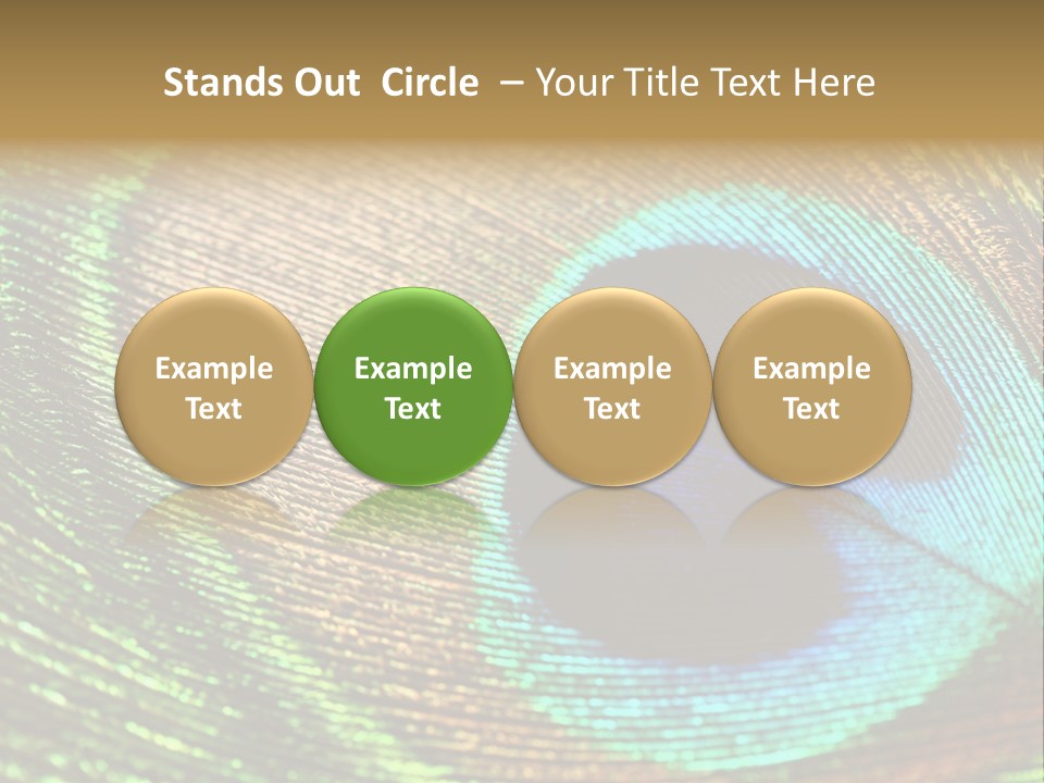 Stylish Extravagant Elegance PowerPoint Template