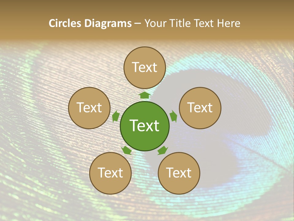 Stylish Extravagant Elegance PowerPoint Template