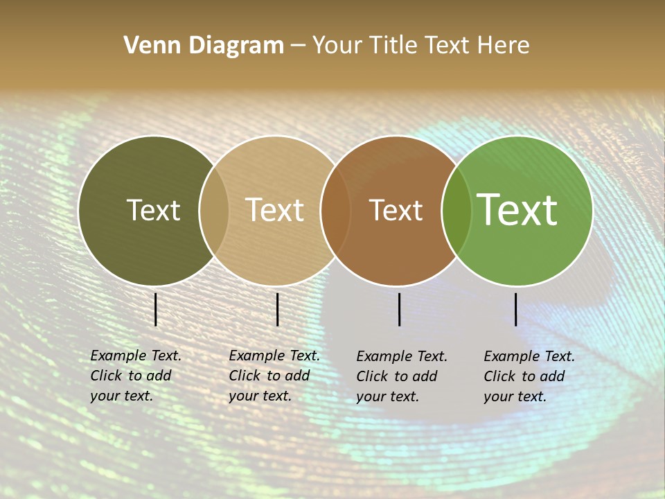 Stylish Extravagant Elegance PowerPoint Template