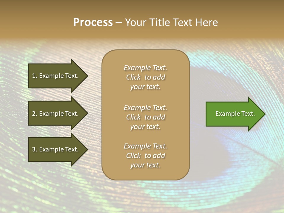 Stylish Extravagant Elegance PowerPoint Template