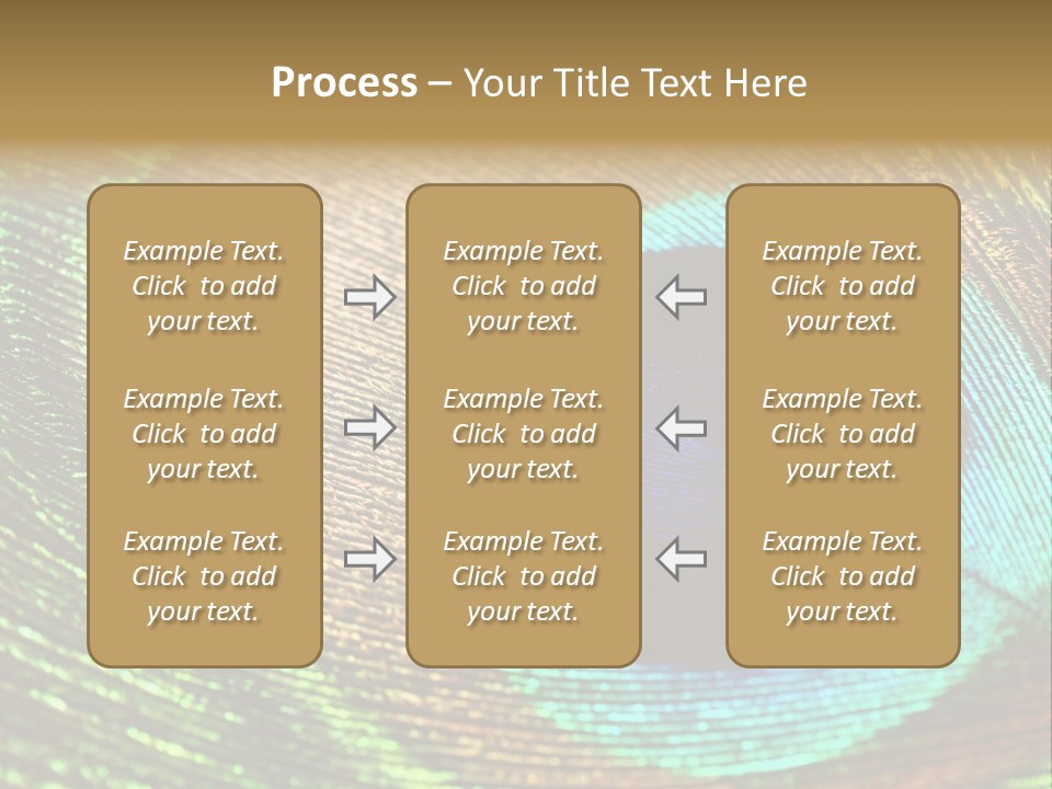 Stylish Extravagant Elegance PowerPoint Template