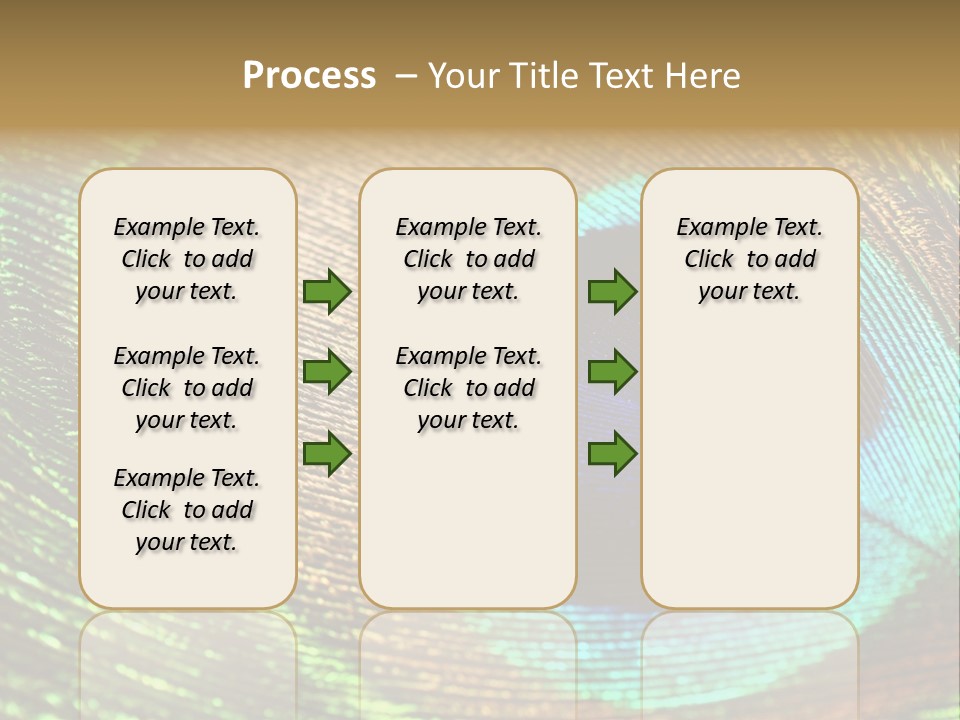 Stylish Extravagant Elegance PowerPoint Template