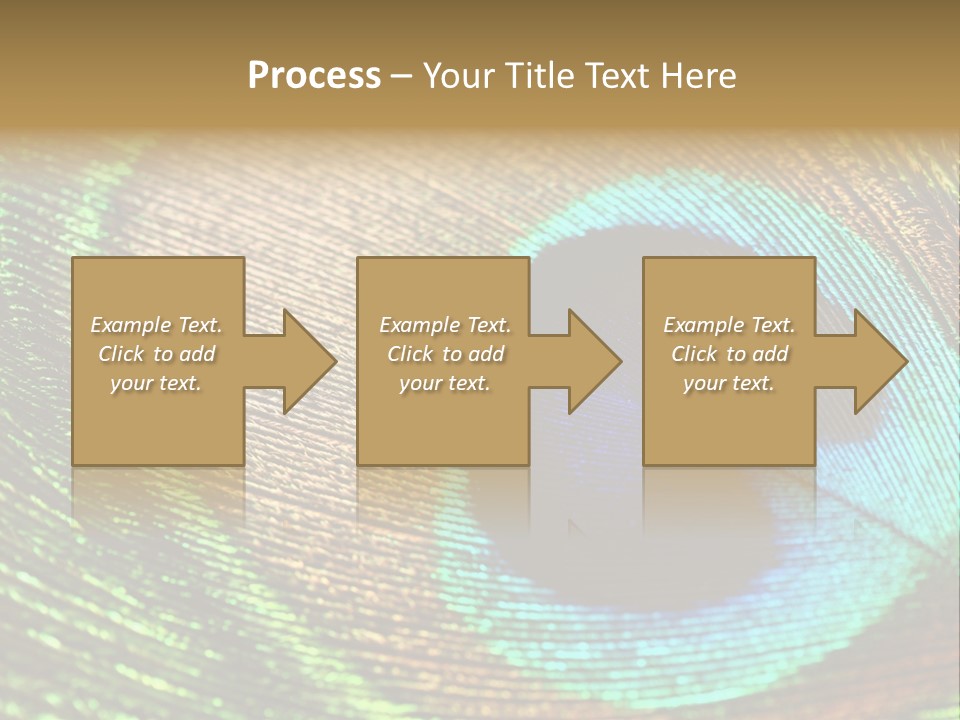Stylish Extravagant Elegance PowerPoint Template