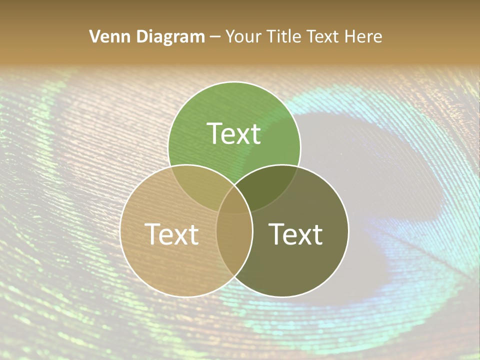 Stylish Extravagant Elegance PowerPoint Template