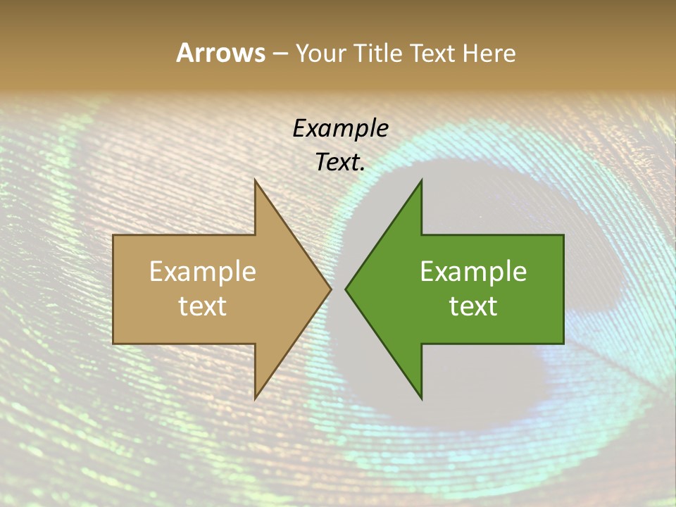 Stylish Extravagant Elegance PowerPoint Template