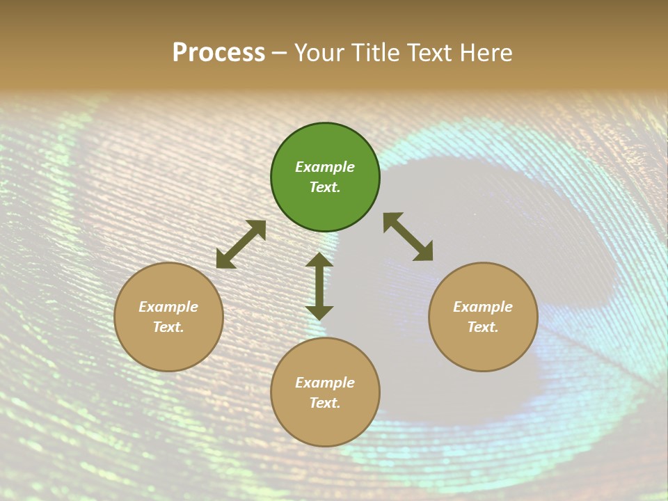 Stylish Extravagant Elegance PowerPoint Template