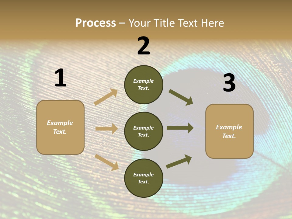 Stylish Extravagant Elegance PowerPoint Template