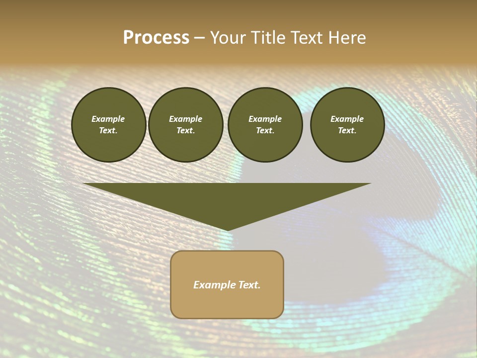 Stylish Extravagant Elegance PowerPoint Template