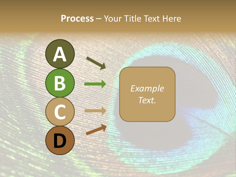 Stylish Extravagant Elegance PowerPoint Template