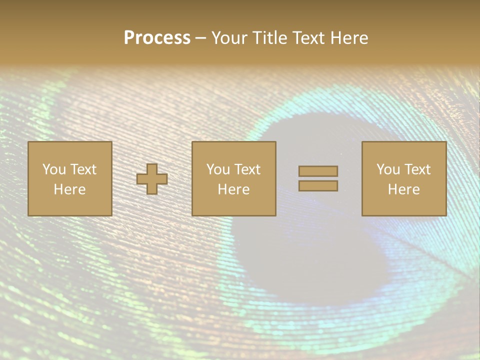 Stylish Extravagant Elegance PowerPoint Template