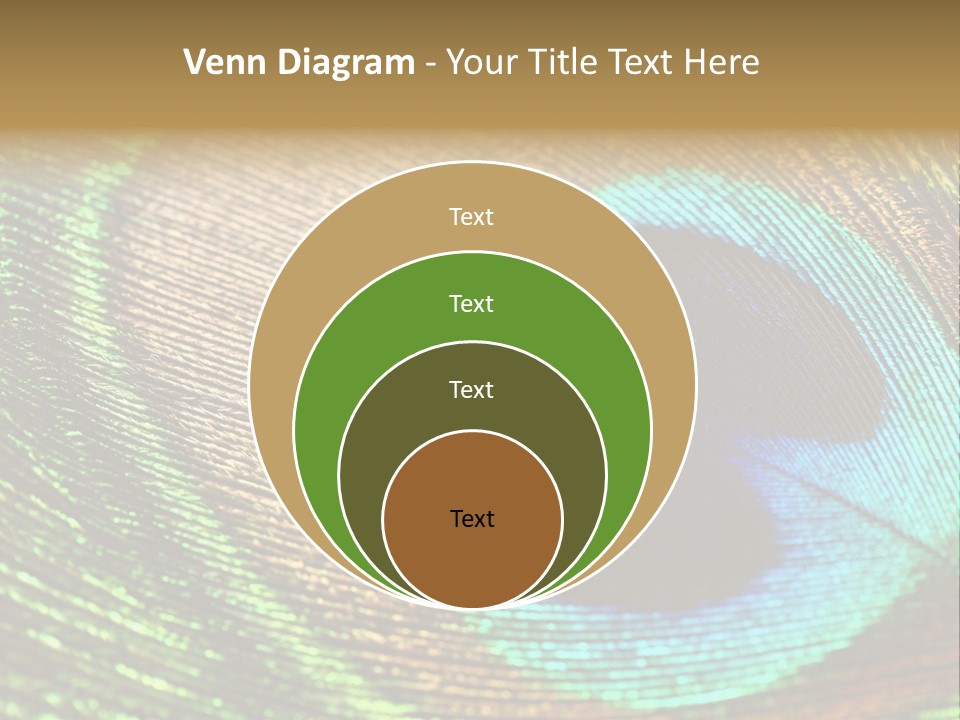 Stylish Extravagant Elegance PowerPoint Template
