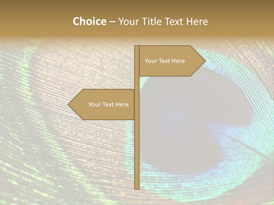 Stylish Extravagant Elegance PowerPoint Template