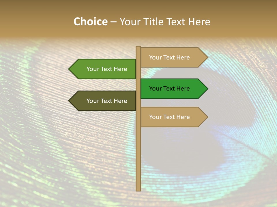 Stylish Extravagant Elegance PowerPoint Template
