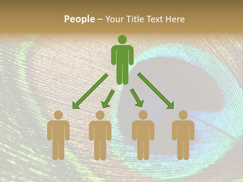 Stylish Extravagant Elegance PowerPoint Template