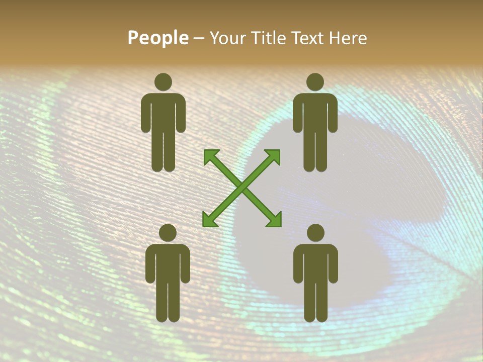 Stylish Extravagant Elegance PowerPoint Template