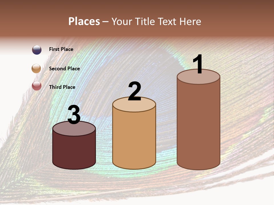 Design Beauty Fluffy PowerPoint Template