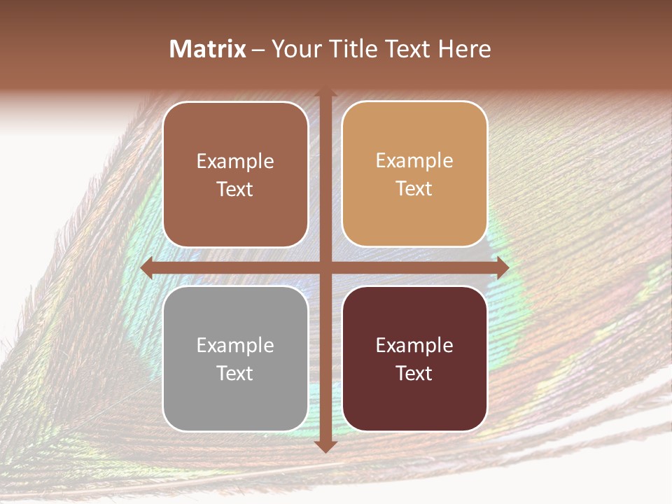 Design Beauty Fluffy PowerPoint Template