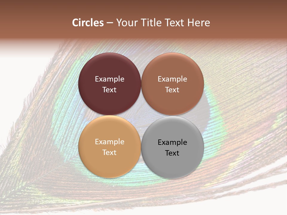 Design Beauty Fluffy PowerPoint Template