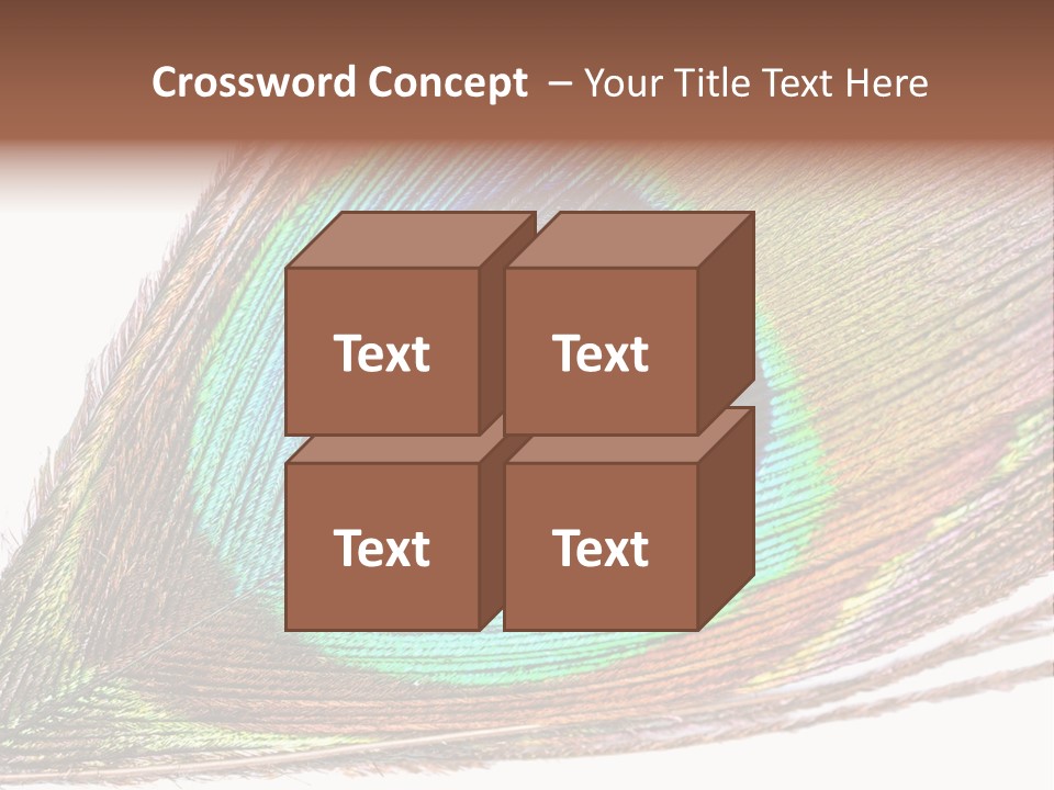 Design Beauty Fluffy PowerPoint Template