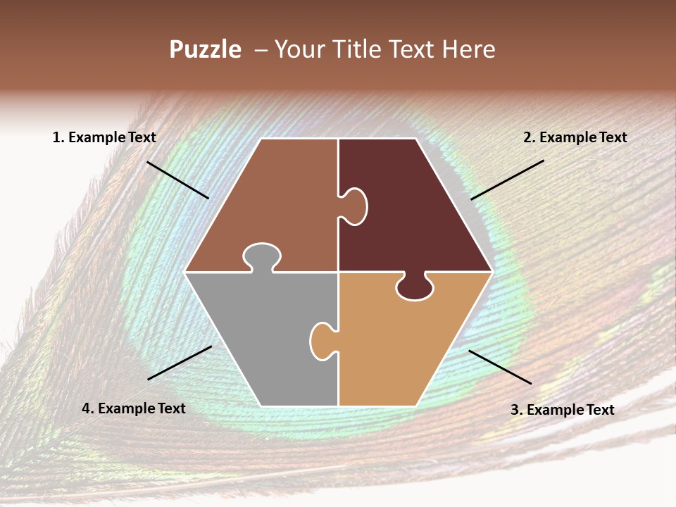 Design Beauty Fluffy PowerPoint Template