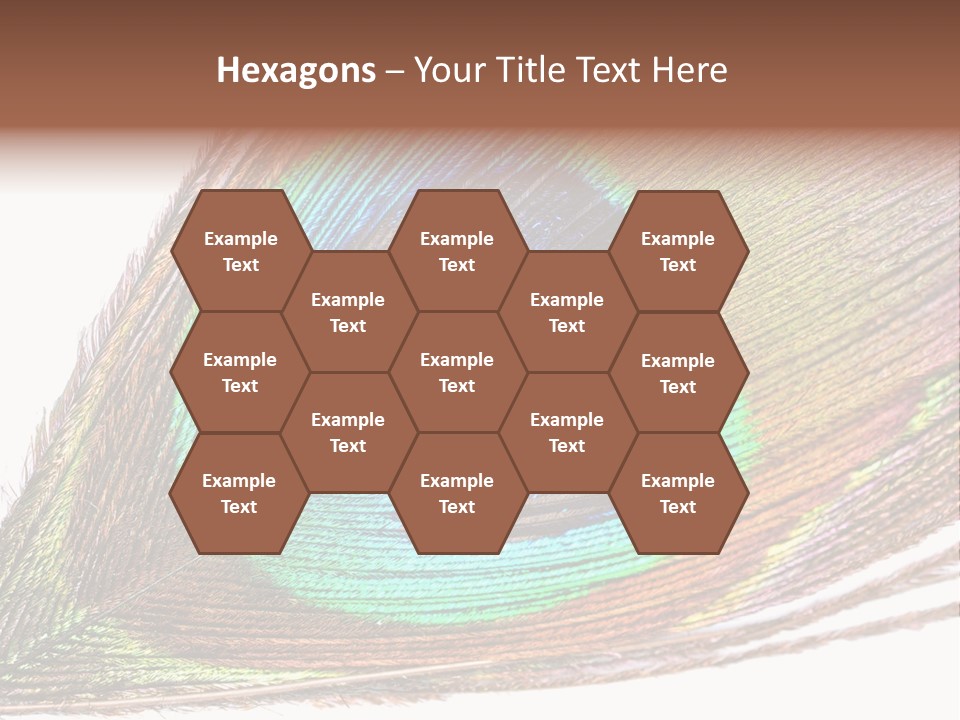 Design Beauty Fluffy PowerPoint Template