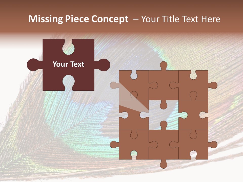 Design Beauty Fluffy PowerPoint Template