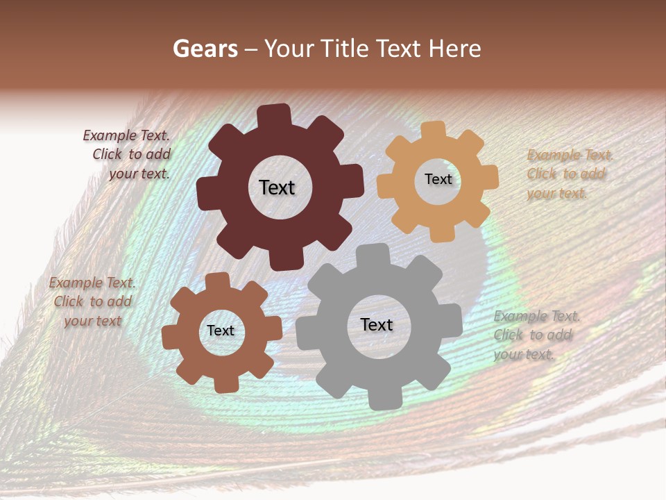 Design Beauty Fluffy PowerPoint Template