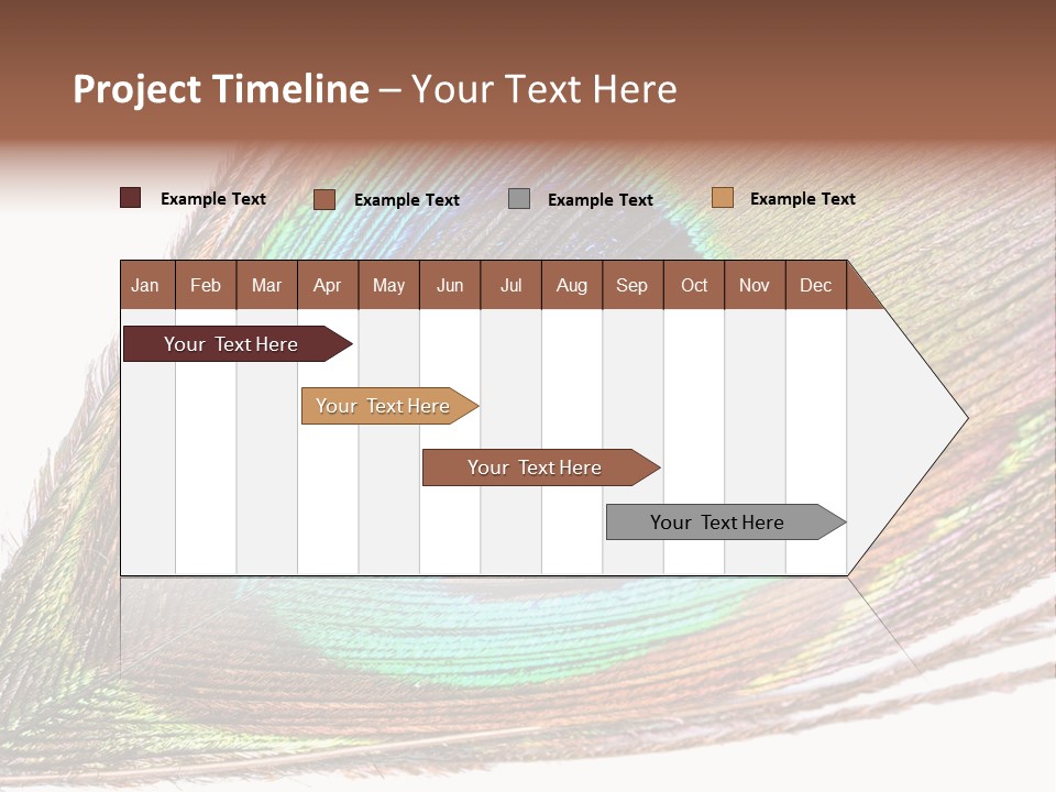 Design Beauty Fluffy PowerPoint Template