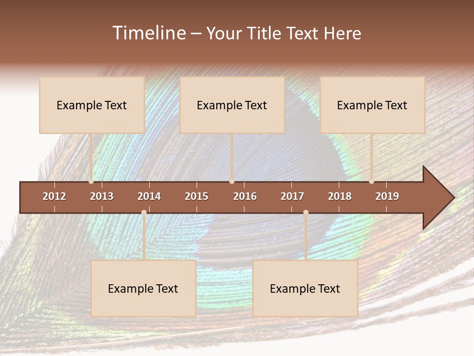 Design Beauty Fluffy PowerPoint Template