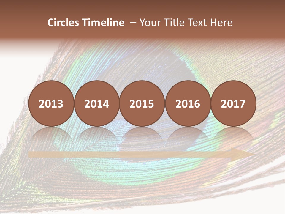 Design Beauty Fluffy PowerPoint Template