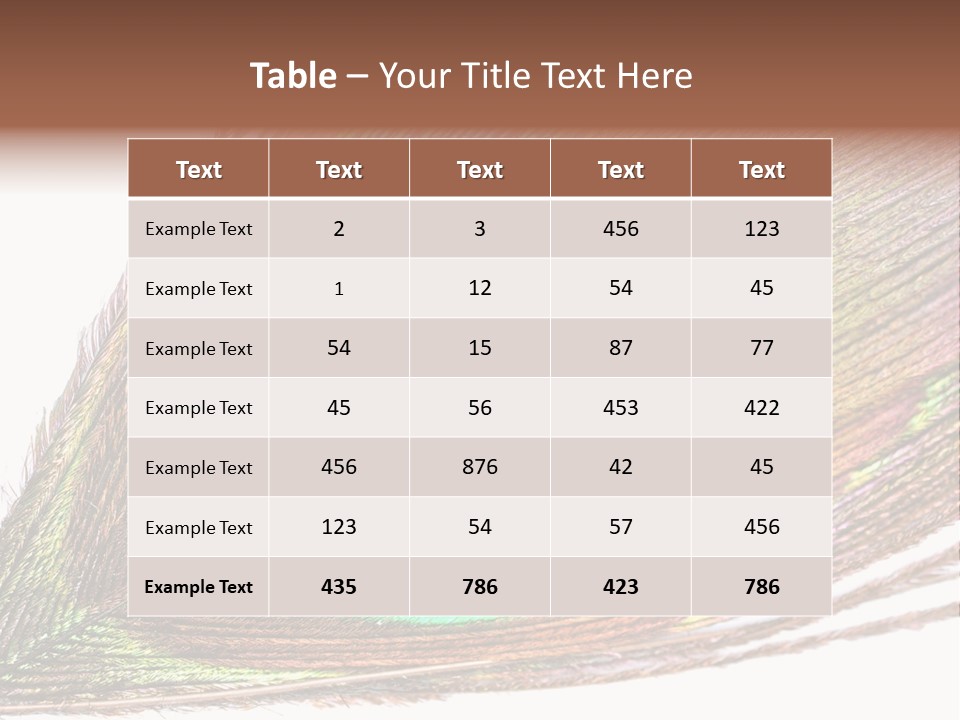 Design Beauty Fluffy PowerPoint Template