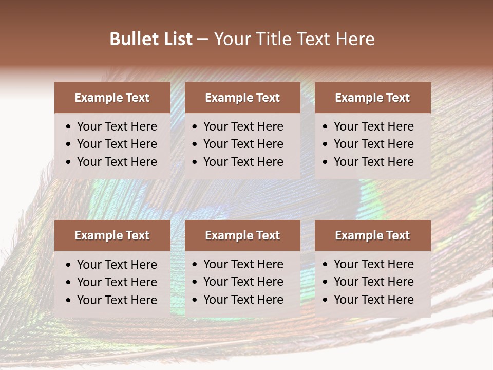 Design Beauty Fluffy PowerPoint Template