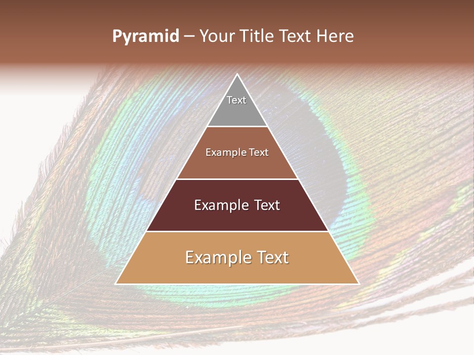 Design Beauty Fluffy PowerPoint Template