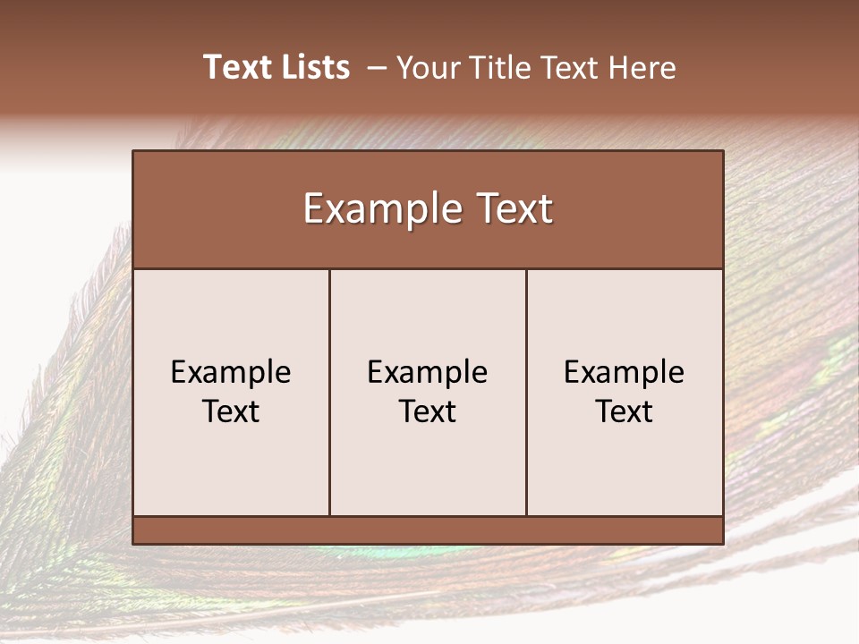 Design Beauty Fluffy PowerPoint Template