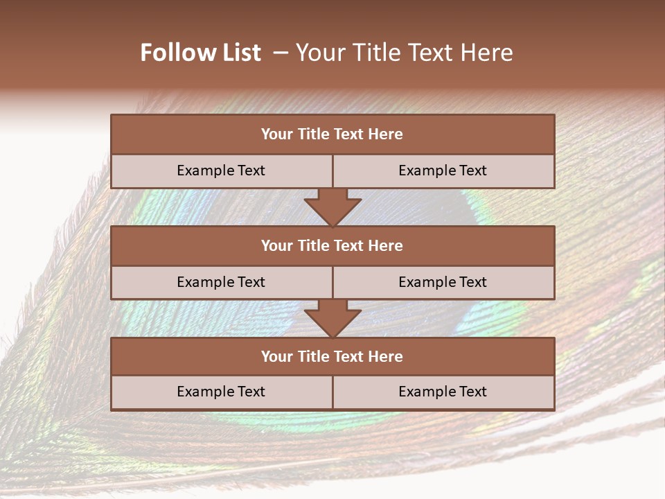 Design Beauty Fluffy PowerPoint Template