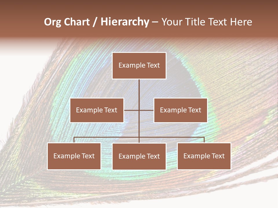 Design Beauty Fluffy PowerPoint Template