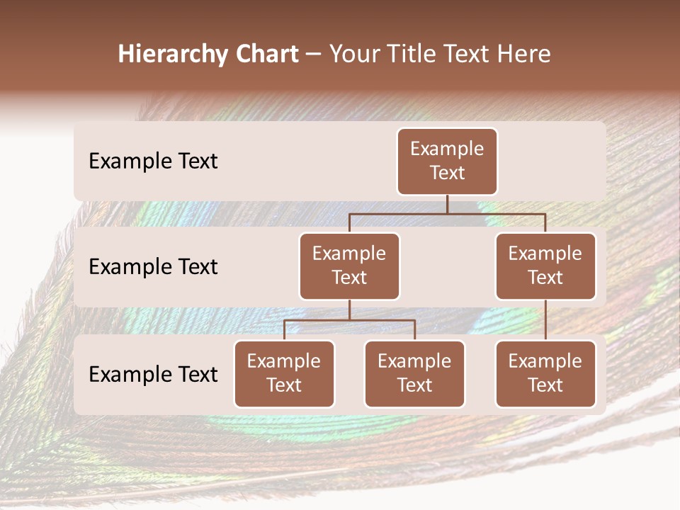 Design Beauty Fluffy PowerPoint Template