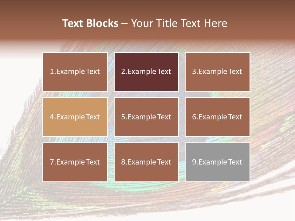 Design Beauty Fluffy PowerPoint Template