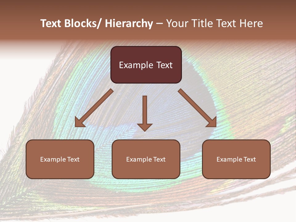 Design Beauty Fluffy PowerPoint Template